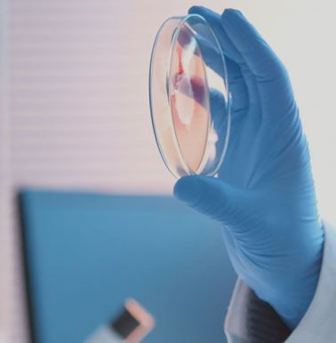 產(chǎn)品暢銷(xiāo)各地，并遠(yuǎn)銷(xiāo)國(guó)外市場(chǎng)